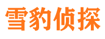 平桥市婚姻出轨调查